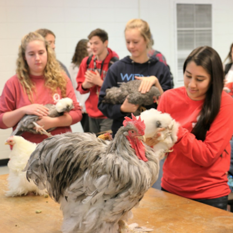 UGA CAES announces high school programs for summer 2018